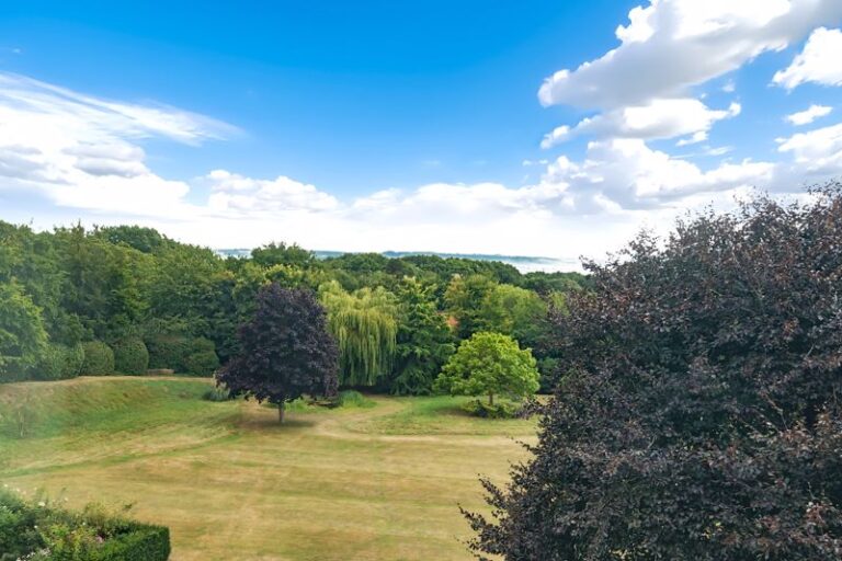 Springwood Park, Tonbridge, TN11 9LZ