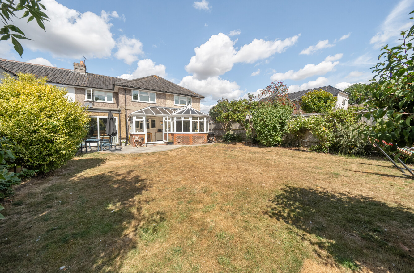 14987412.jpg