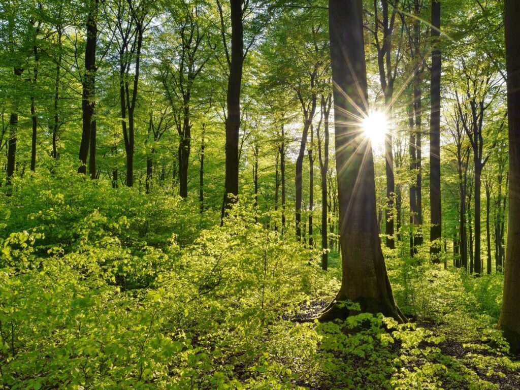 What is ESG?