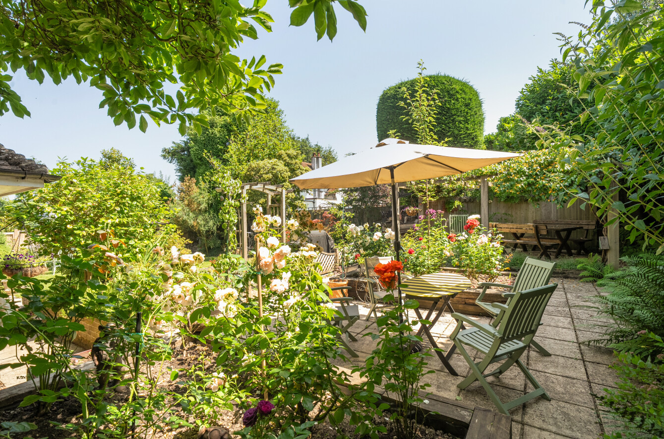 Garden2.jpg