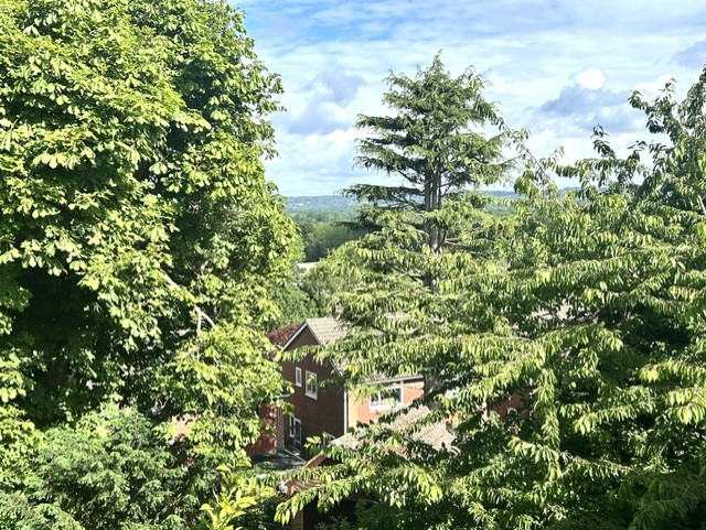 View.jpg