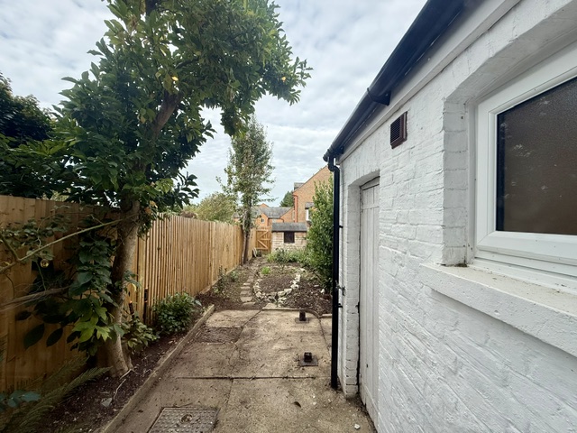 garden.jpeg